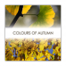 Postkarte | Colours of Autumn